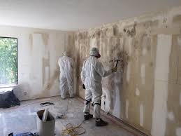 Best Black Mold Removal  in Mercer, PA